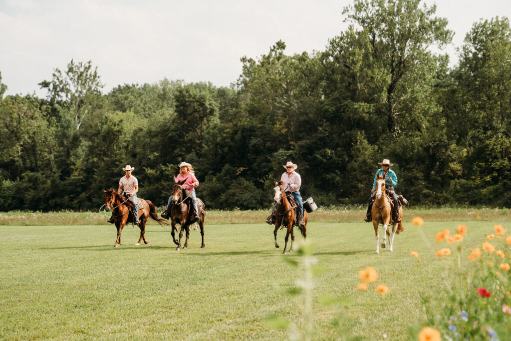 Four people on horseback riding across a grassy field