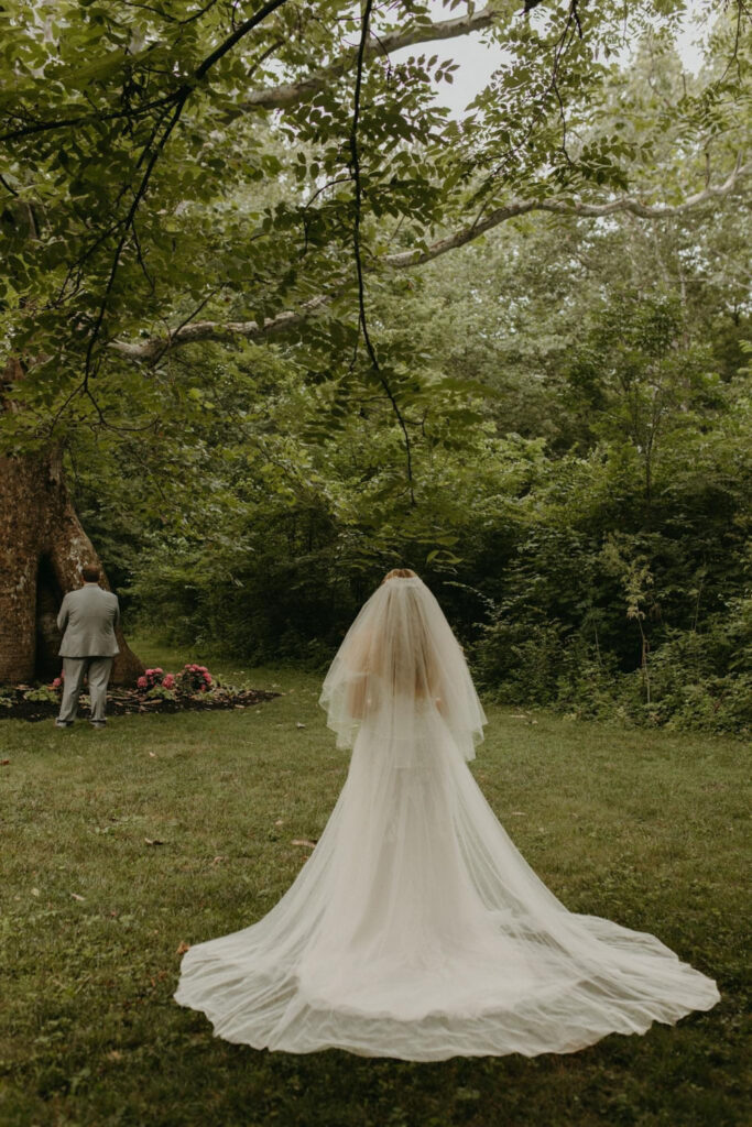 Bride walking toward groom for their first look near Sycamore tree