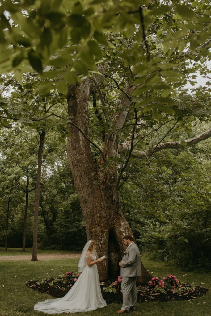 Bride and groom exchanging vows in a serene wooded setting near a sycamore tree