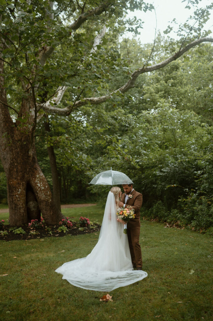 Bride and groom sharing an intimate moment under a clear umbrella by the sycamore tree